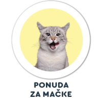 Mačka