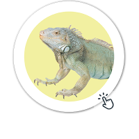 Ponuda za teraristiku