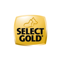 SELECT GOLD