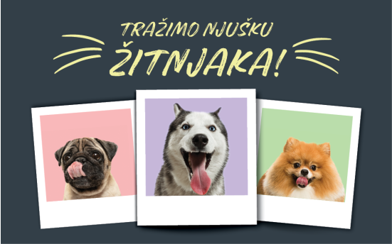 Tražimo ZOOCITY njušku ŽITNJAKA!