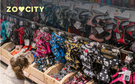 Kako odabrati ogrlicu za pse?