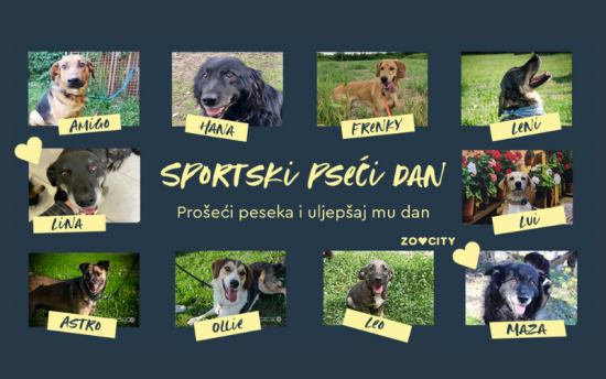 PSEĆI SPORTSKI DAN powered by ZOOCITY