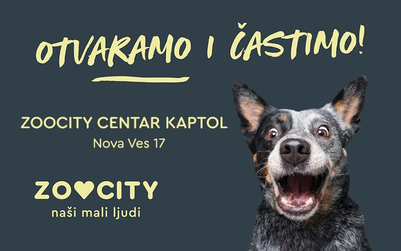 NOVI ZOOCITY U CENTRU ZAGREBA! 