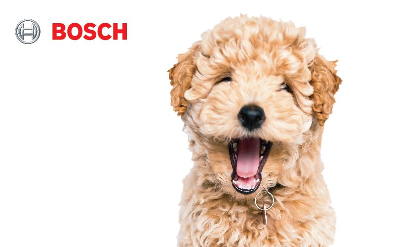 ZOOCITY & BOSCH