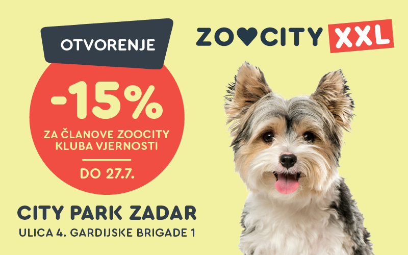 Veseli pas na žutoj pozadini - otvorenje Zadar