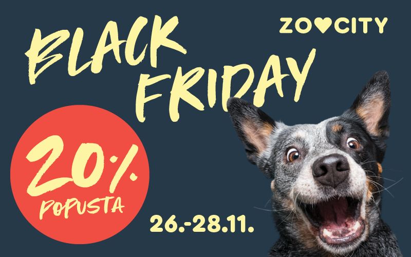 Black Friday u ZOOCITY-u