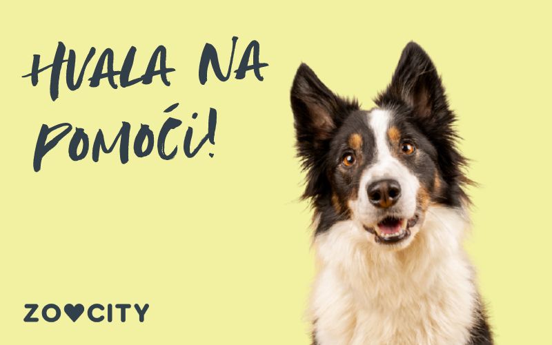 Humanitarna akcija za Udrugu Bijeli očnjak