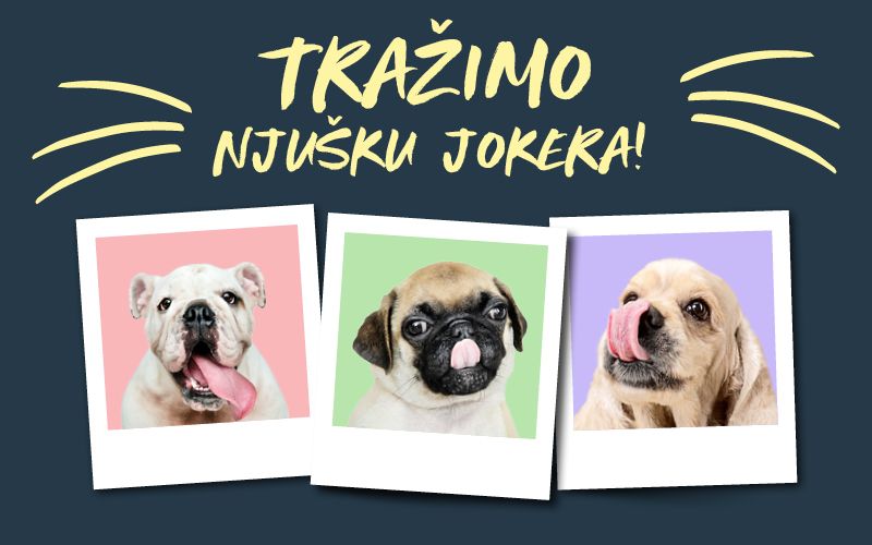 tražimo njušku jokera