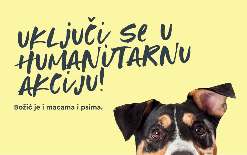 Božić je i macama i psima