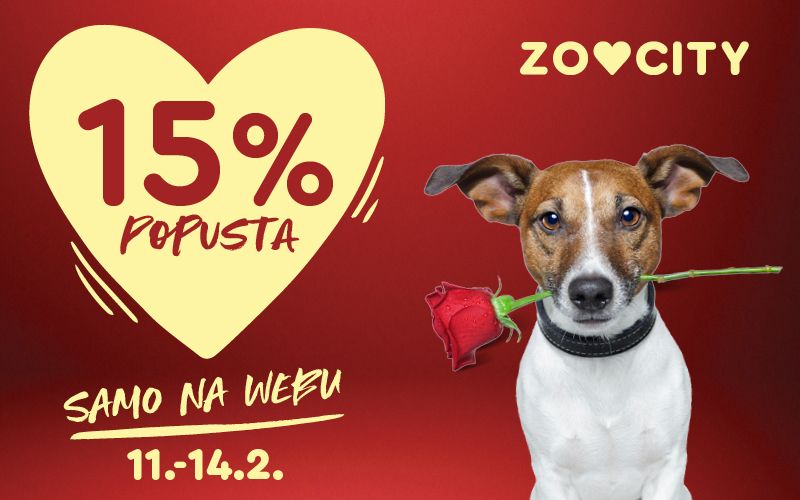 Valentinovo na web shopu