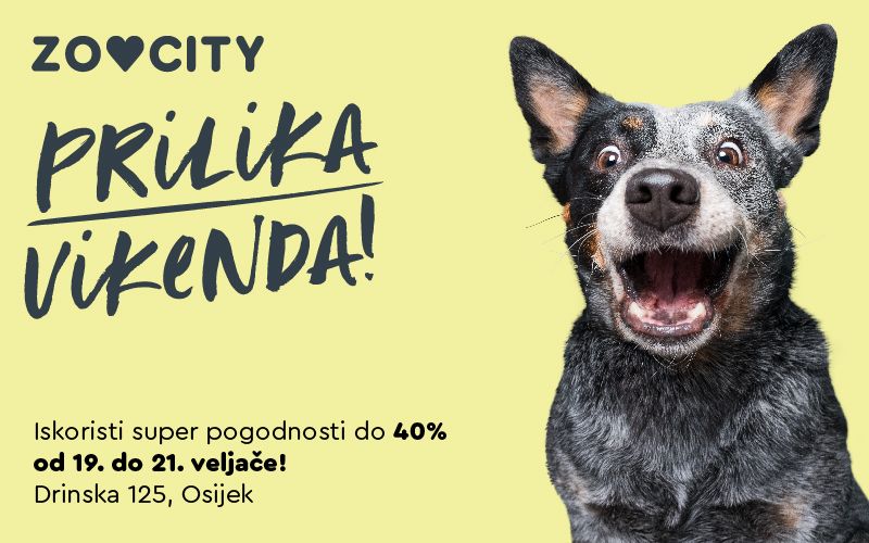 ZOOCITY prilika vikenda u Osijeku