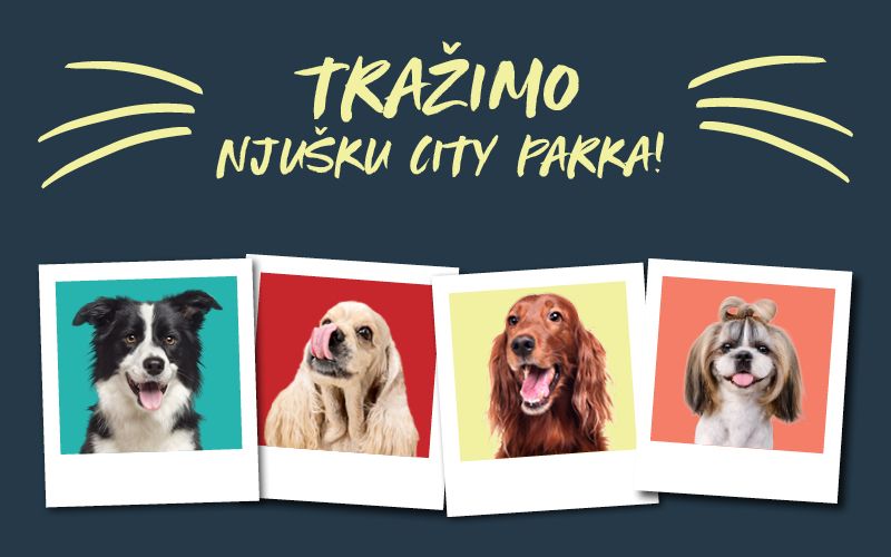 Tražimo ZOOCITY njušku CITY PARKA ZADAR