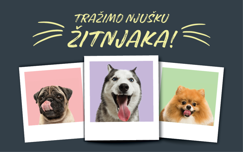 Tražimo ZOOCITY njušku ŽITNJAKA!