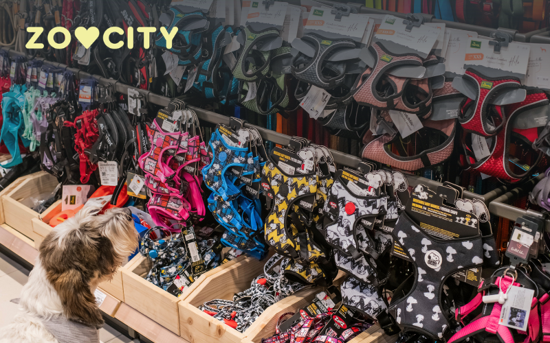 Kako odabrati ogrlicu za pse?