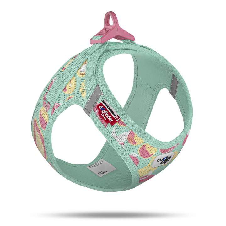 Curli oprsnica za pse Air-Mesh Juicy Fruits, tirkizna XS