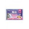 Brit Premium Cat Delicate Fillets razni okusi u želeu, vrećice 4x85 g