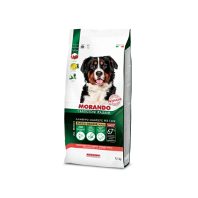 Morando Tradizioni Adult Maxi govedina, zob i grašak 12 kg