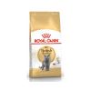 Royal Canin British Shorthair 2 kg