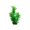 Tetra DecoArt Green Cabomba umjetno bilje M