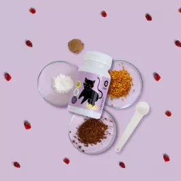 ApiCat Urino u prahu, 60 g