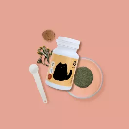 ApiCat Skin u prahu, 60 g