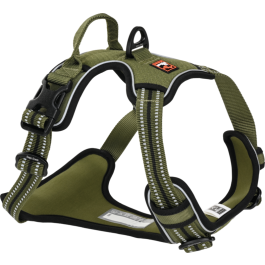 Dogs Creek oprsnica za pse Pathfinder S, zelena