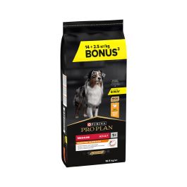 Pro Plan Adult  Medium 14 kg + 2,5 kg gratis