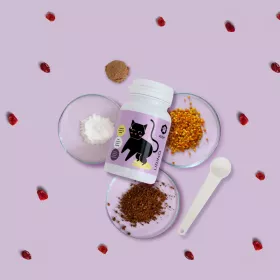 ApiCat Urino u prahu, 60 g