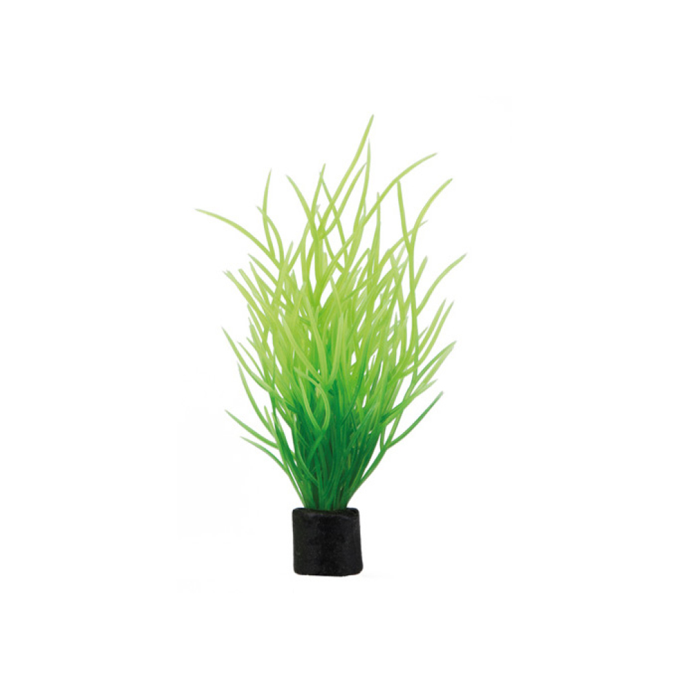 Dohse Hobby umjetno bilje Lilaeopsis mini, 7 cm