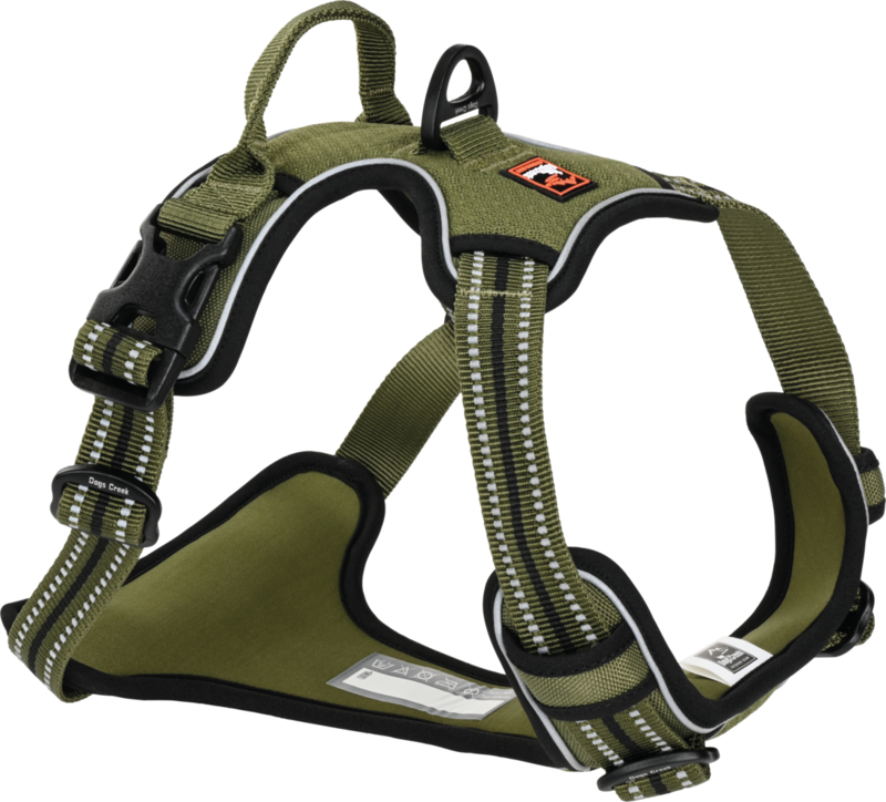 Dogs Creek oprsnica za pse Pathfinder, zelena