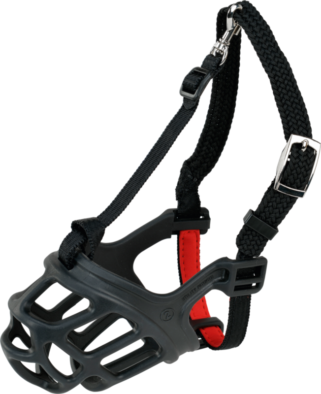 Dogs Creek brnjica za pse Protect