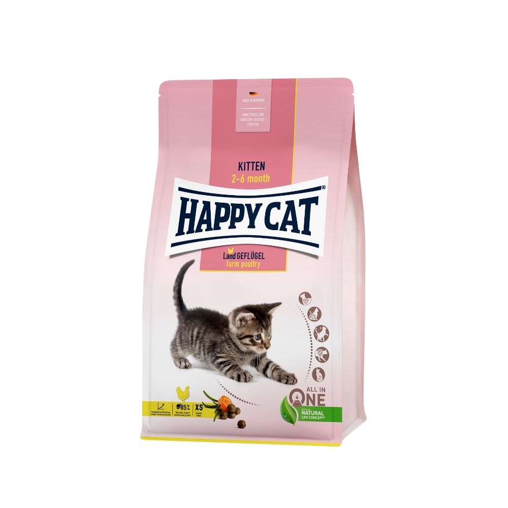 Happy Cat Kitten perad