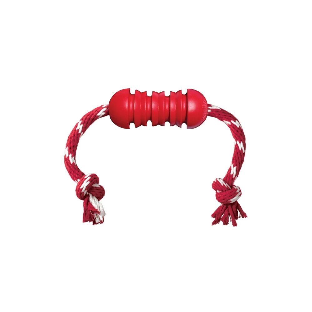 Kong igračka za pse Dental w/Rope Medium