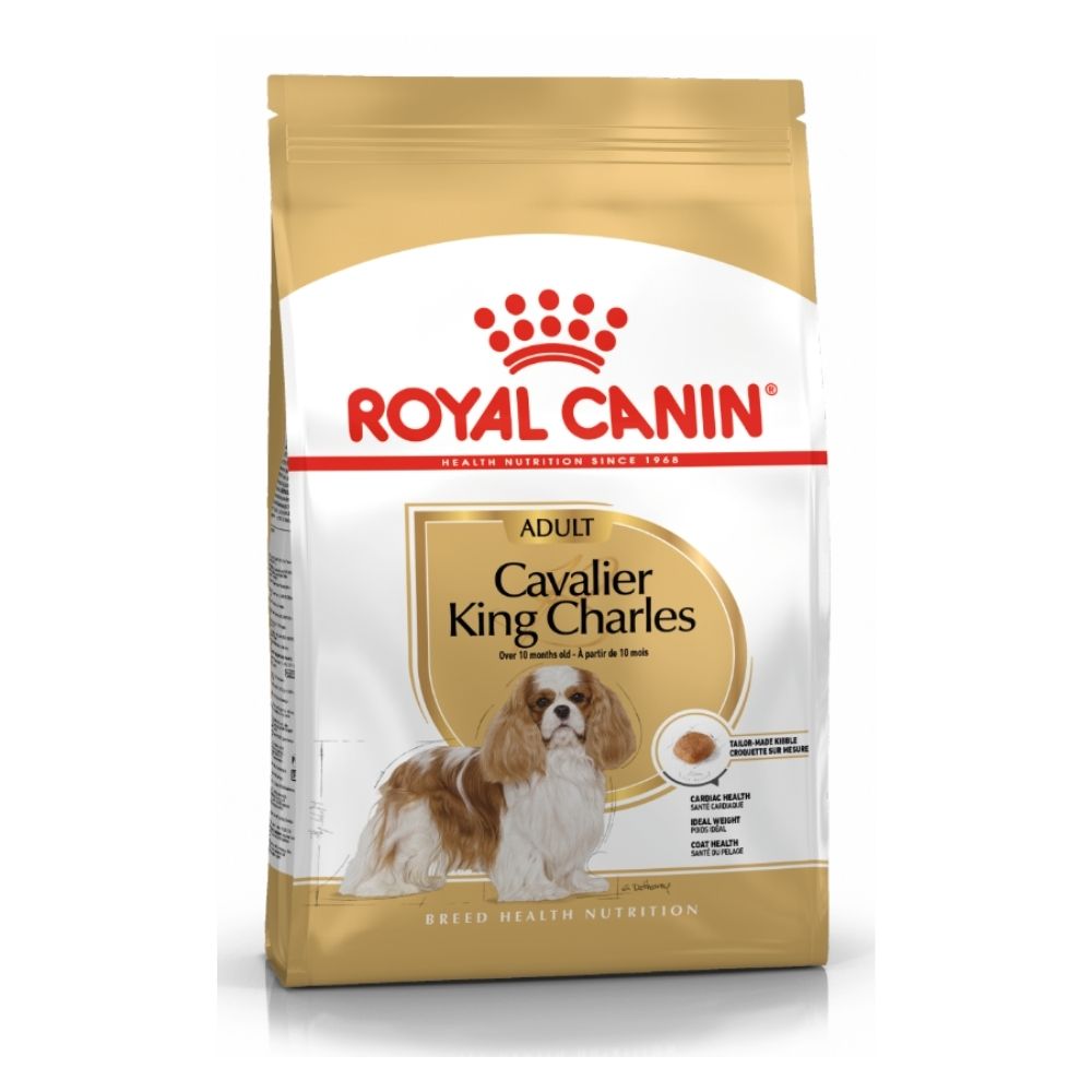 RCD Cavalier King Charles 3 kg