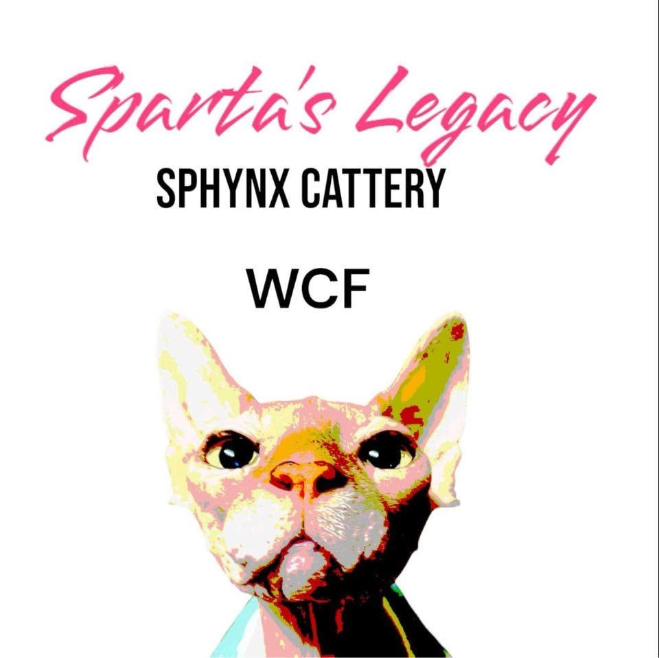 Sparta's Legacy