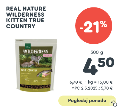 Real Nature Cat Kitten True Country Wilderness piletina i riba