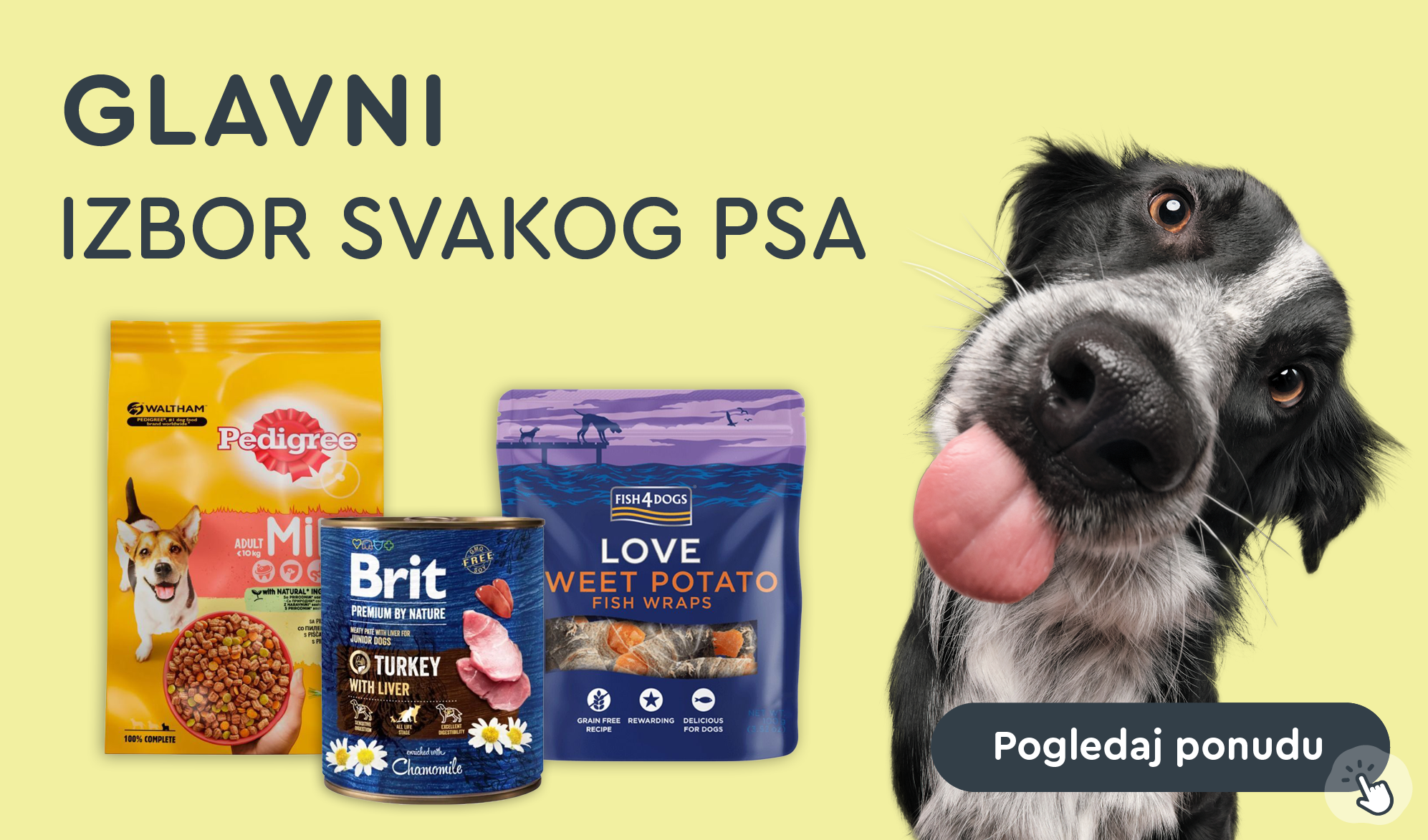 Glavni za odlične cijene pas