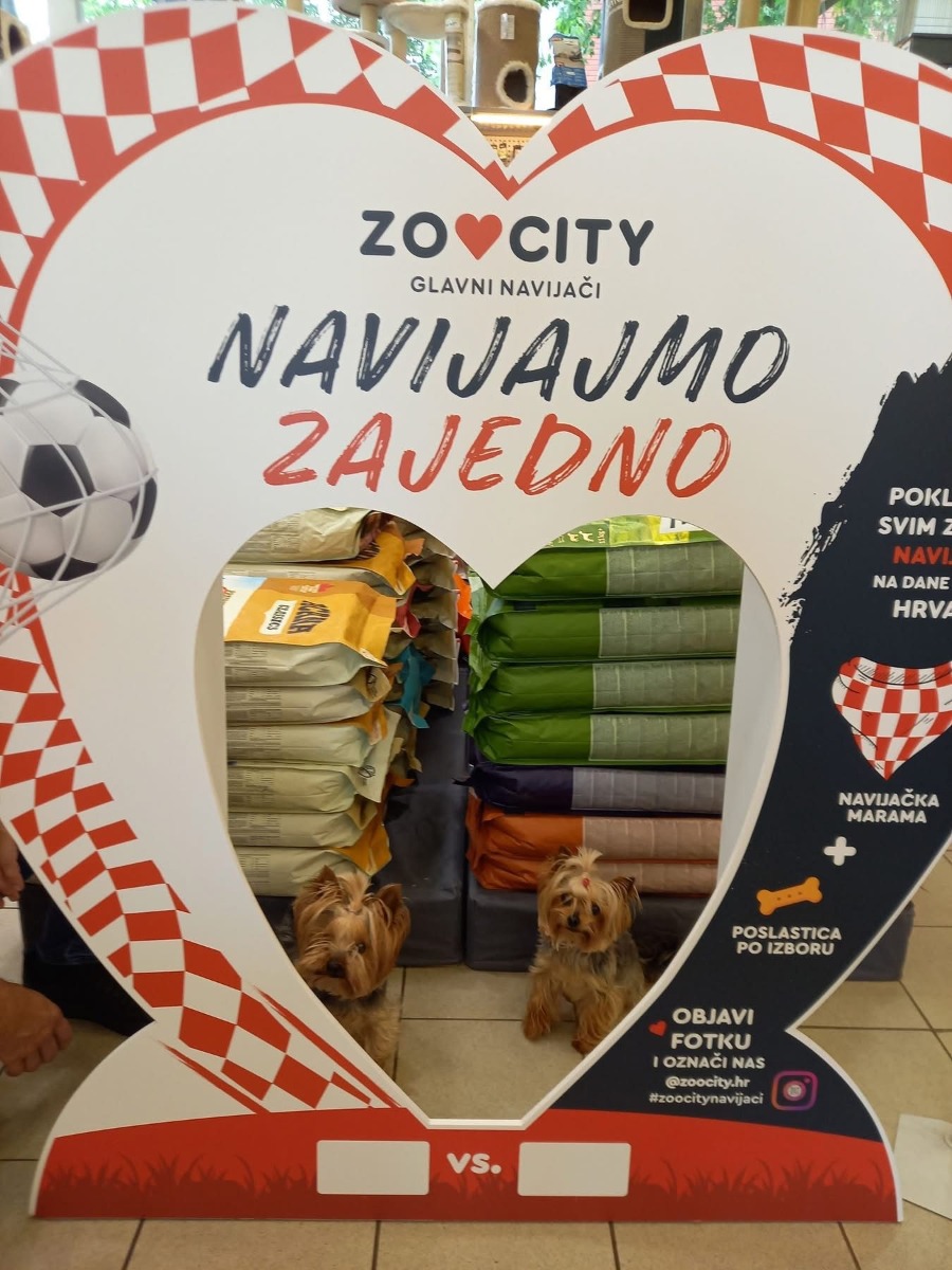 #ZooCityNavijaci