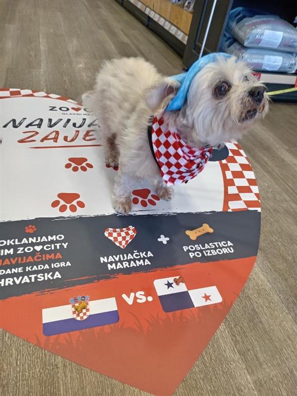 #ZooCityNavijaci