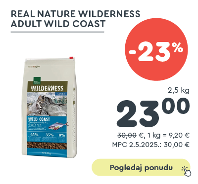 Real Nature Cat Wilderness Adult Wild Coast