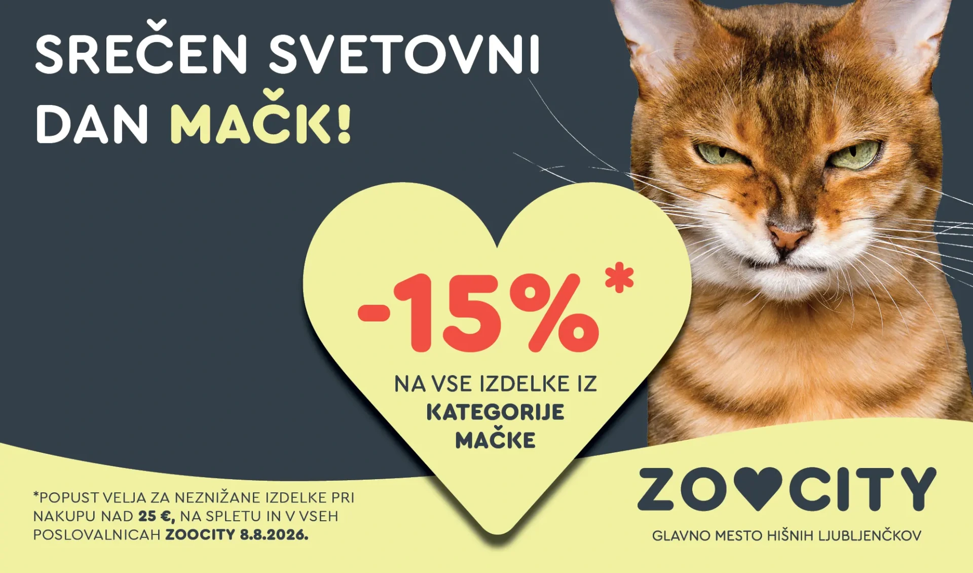 Svetovni dan mačk — ZOOCITY akcija -15 % na izdelke za mačke, samo 8. 8.