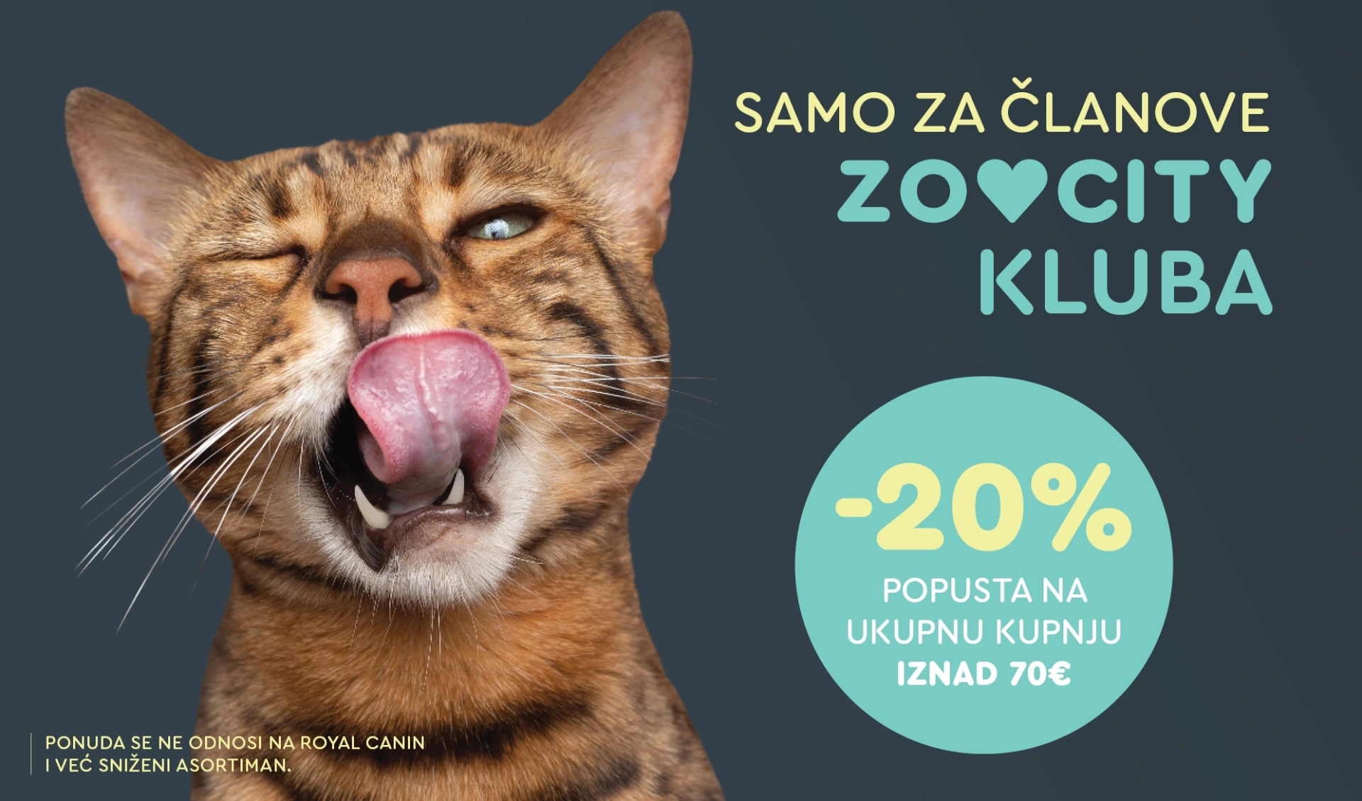 ZOOCITY Web akcija