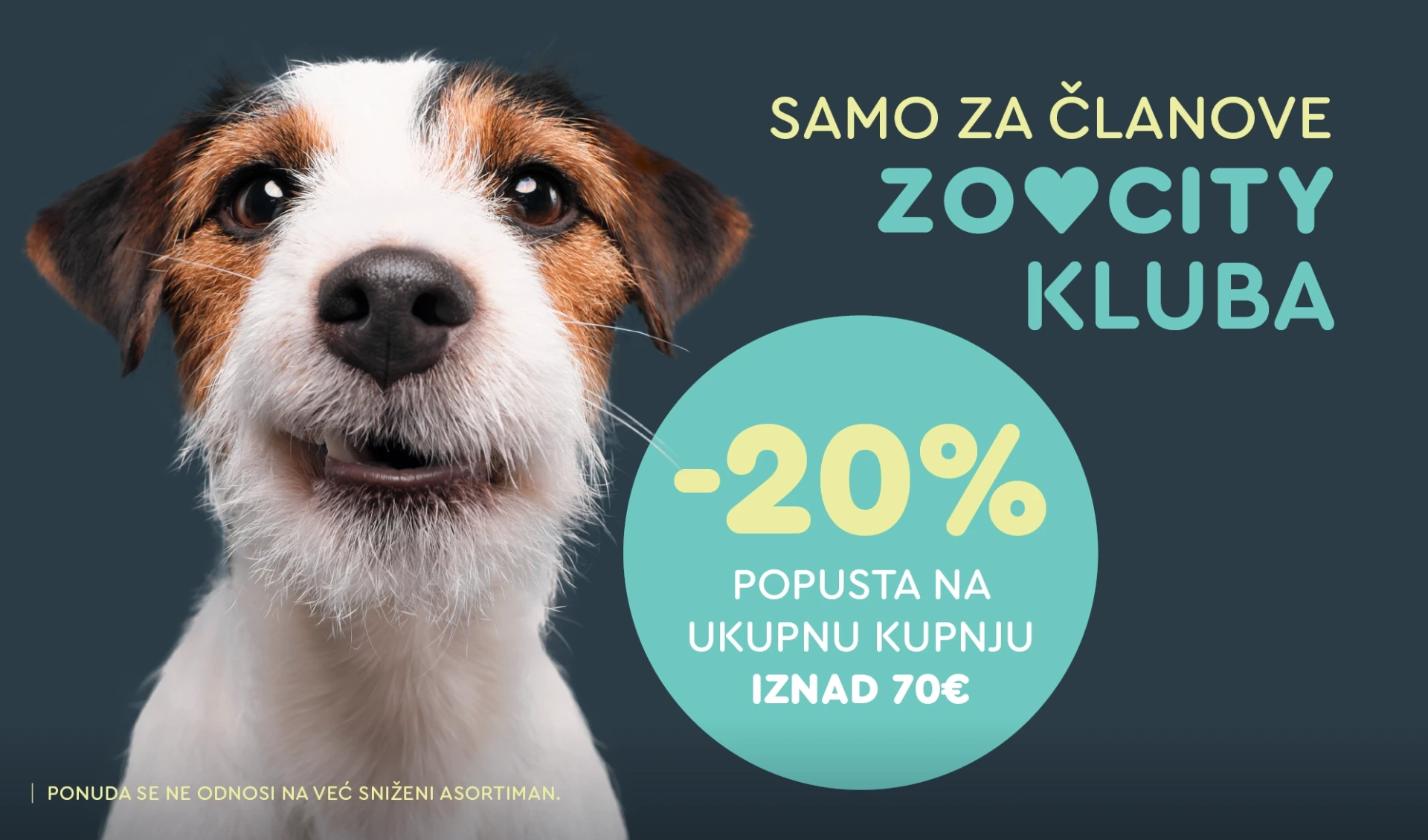 ZOOCITY Web akcija