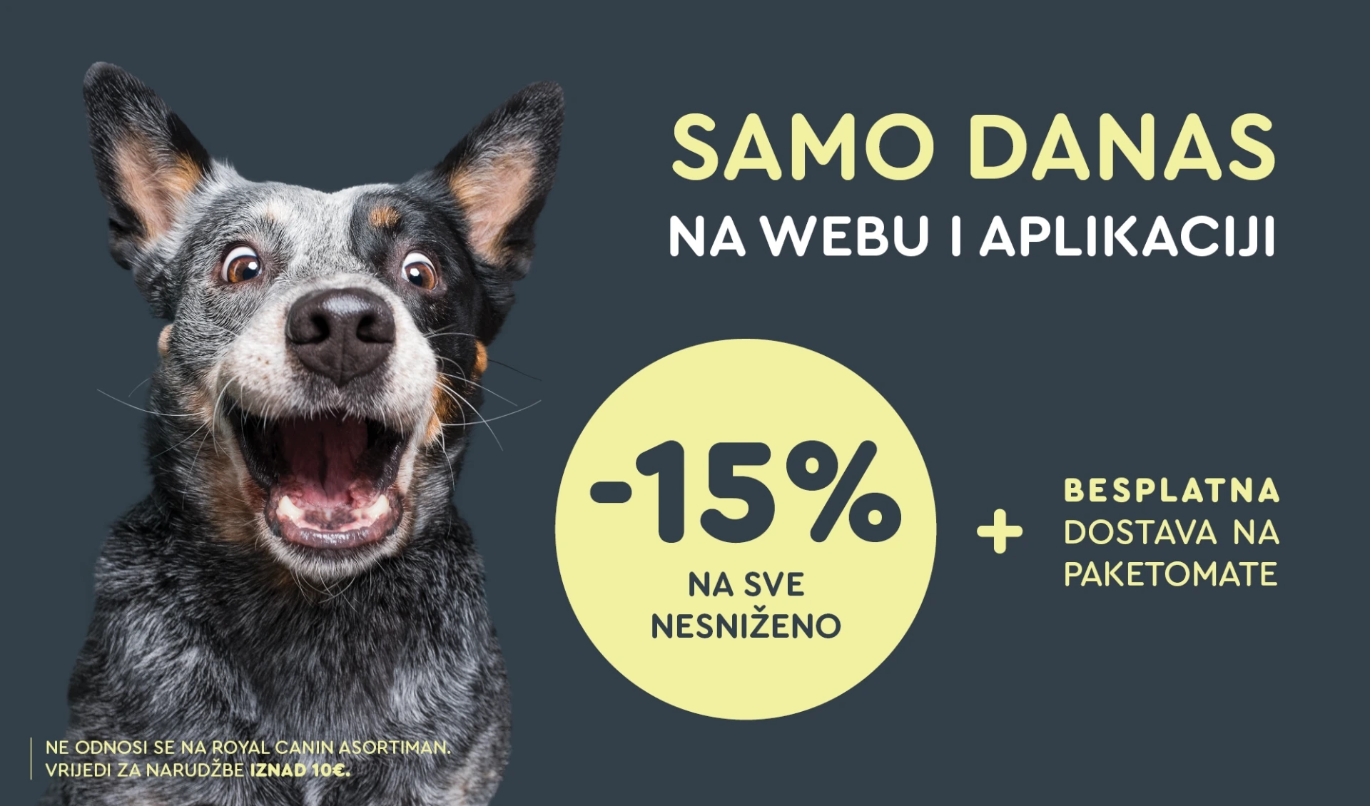 ZOOCITY Web akcija