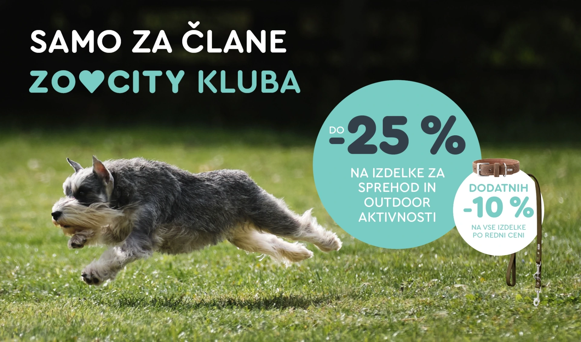 ZOOCITY Slovenija – Vse za vašega ljubljenčka