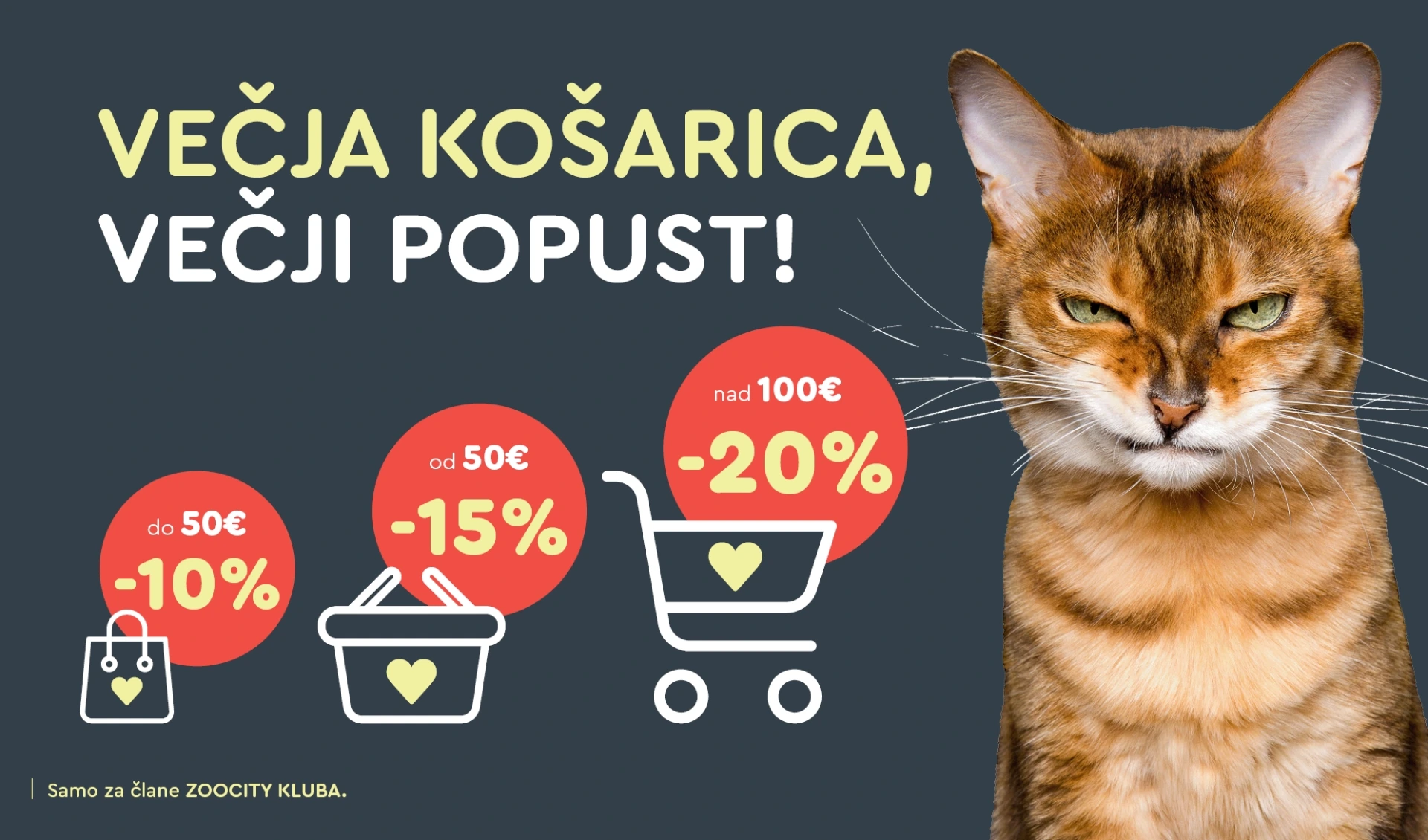 Večja košarica - večji popust