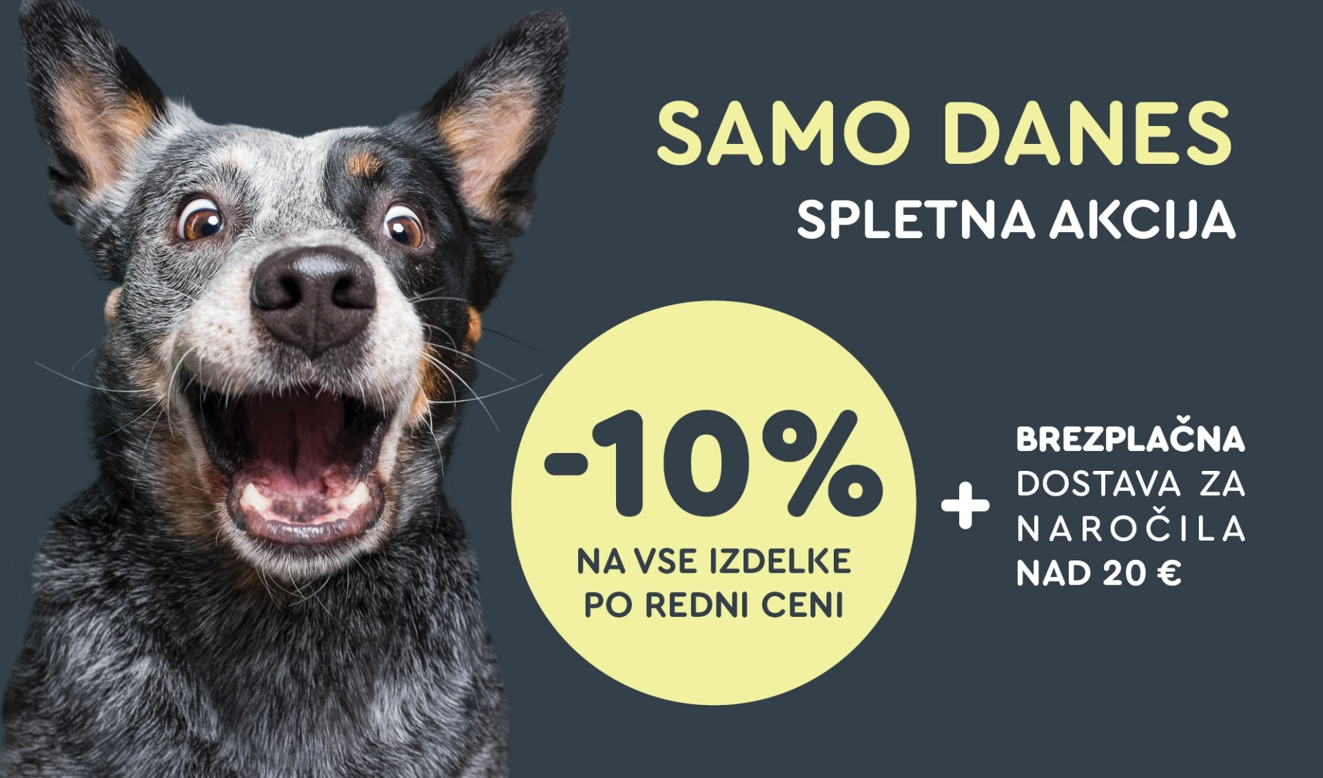 ZOOCITY Slovenija – Spletna akcija: samo danes -10 % na vse izdelke po redni ceni