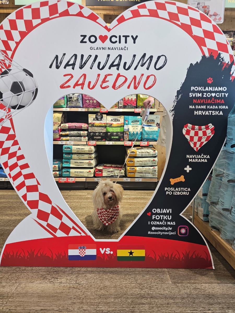 #ZooCityNavijaci