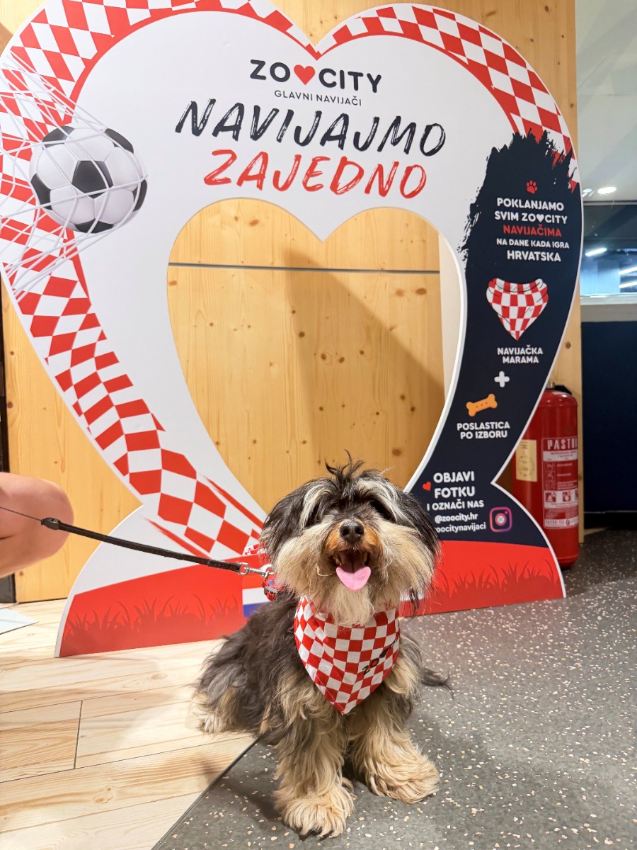 #ZooCityNavijaci