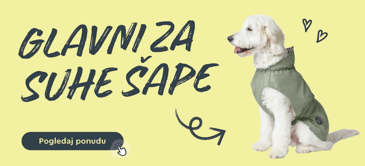Glavni za suhe šape